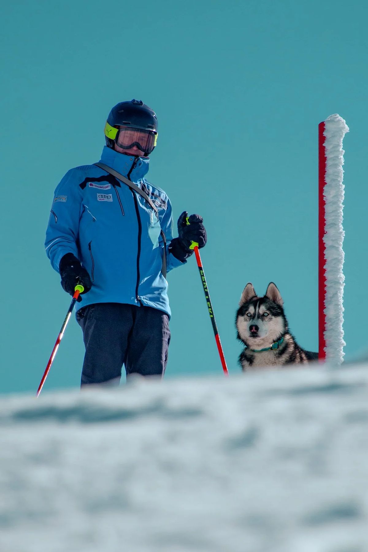 Anouk - TrailTails, Bild 13 von 13