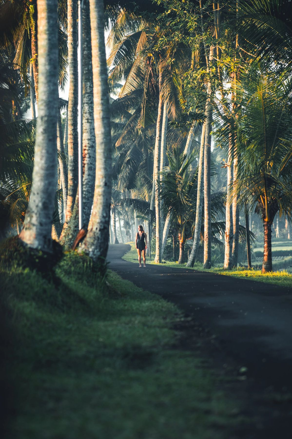 Bali - Jungle X Ocean, Bild 5 von 23