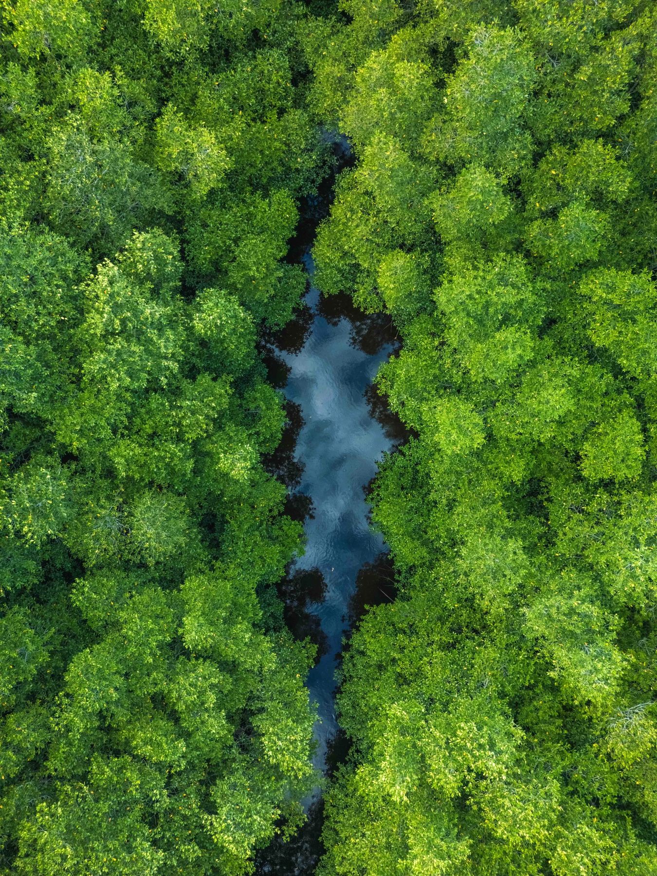 Bali - Jungle X Ocean, Bild 14 von 23