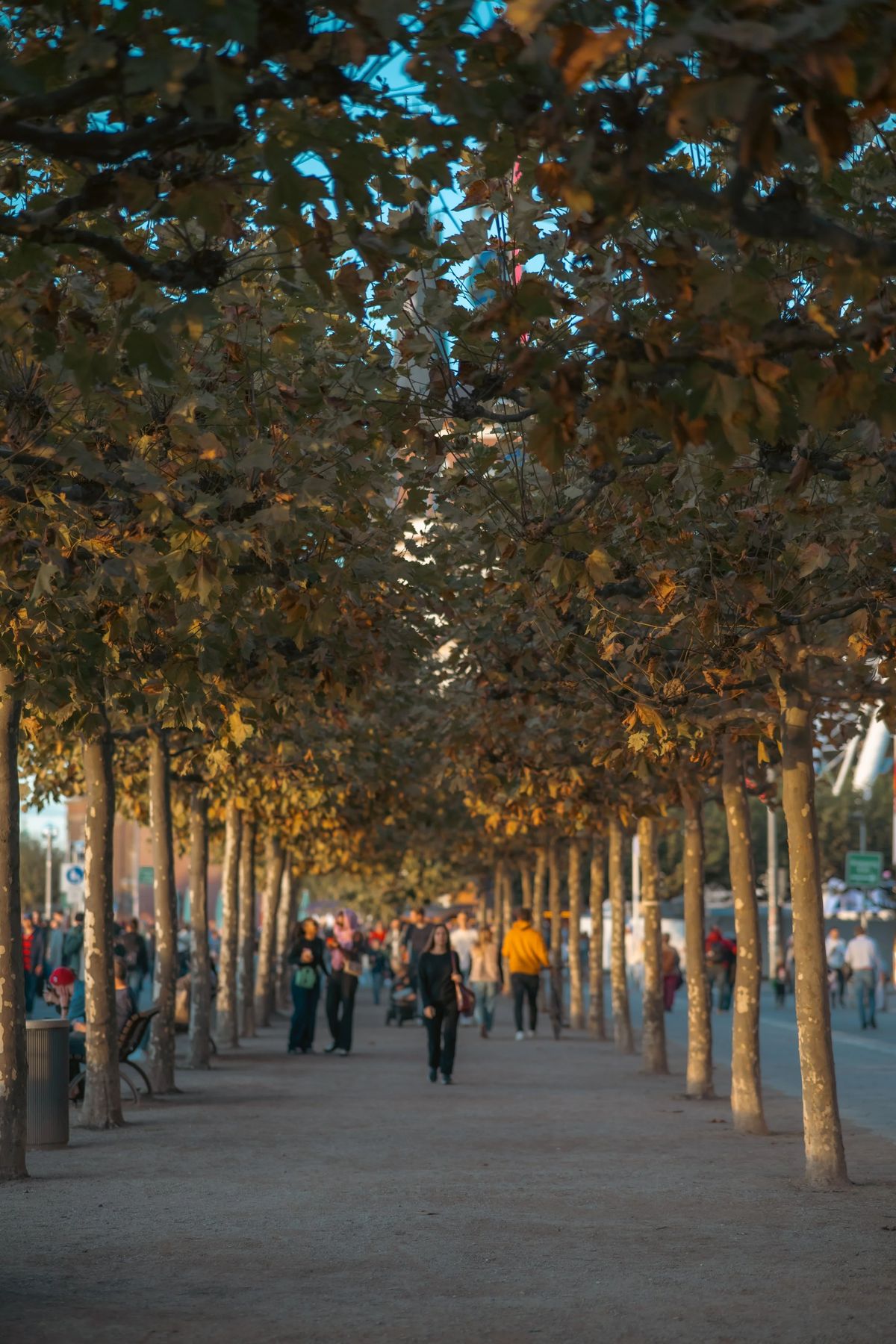 Düsseldorf, Bild 9 von 13