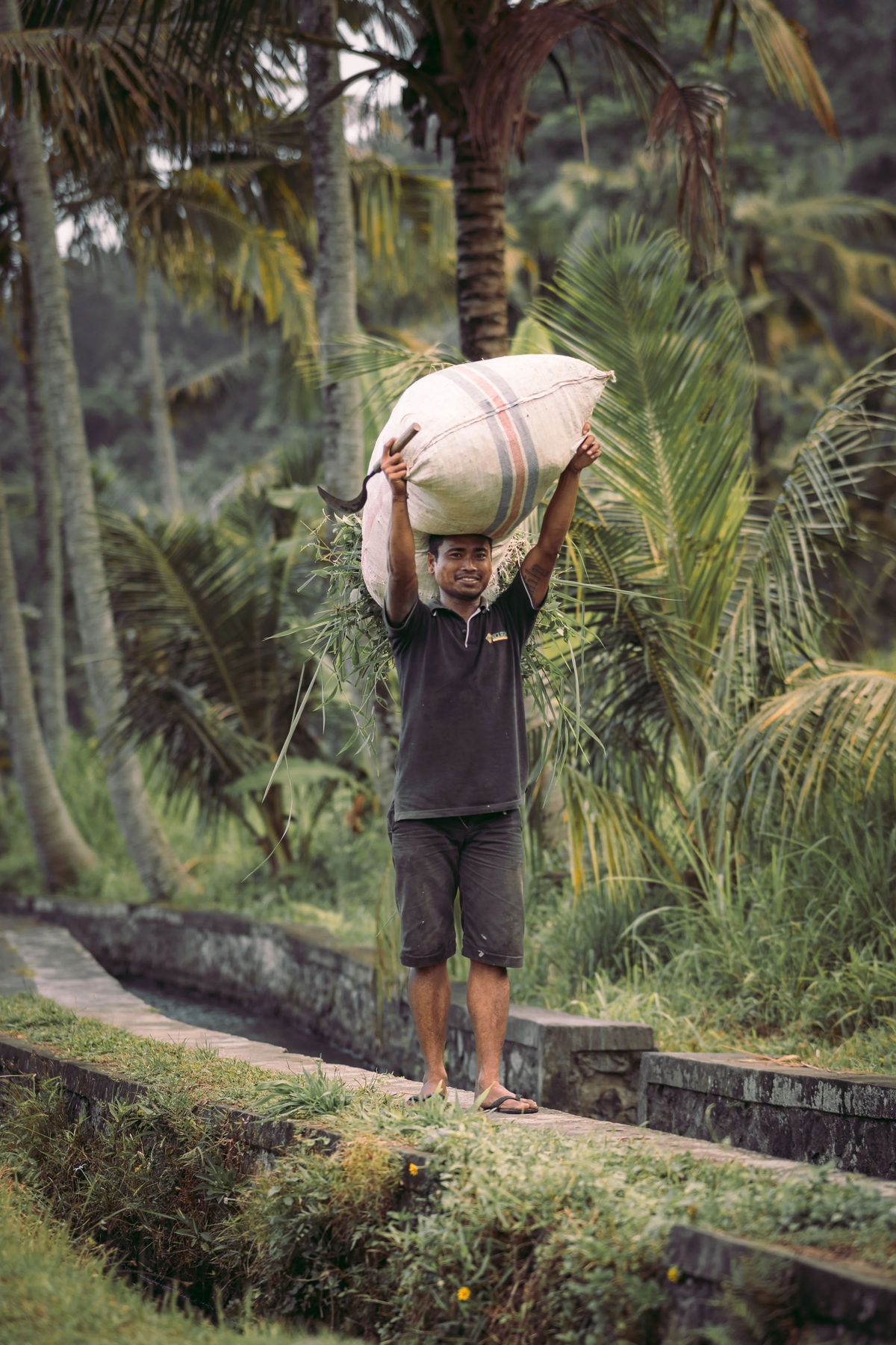 People of Bali, Bild 16 von 26
