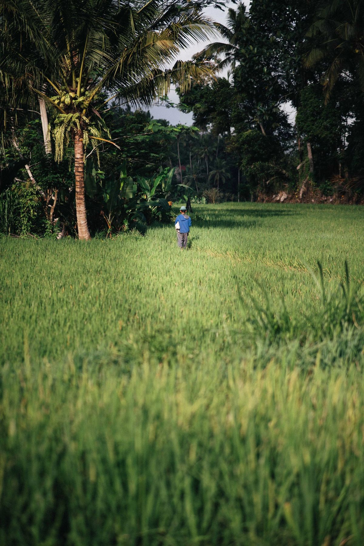 People of Bali, Bild 18 von 26