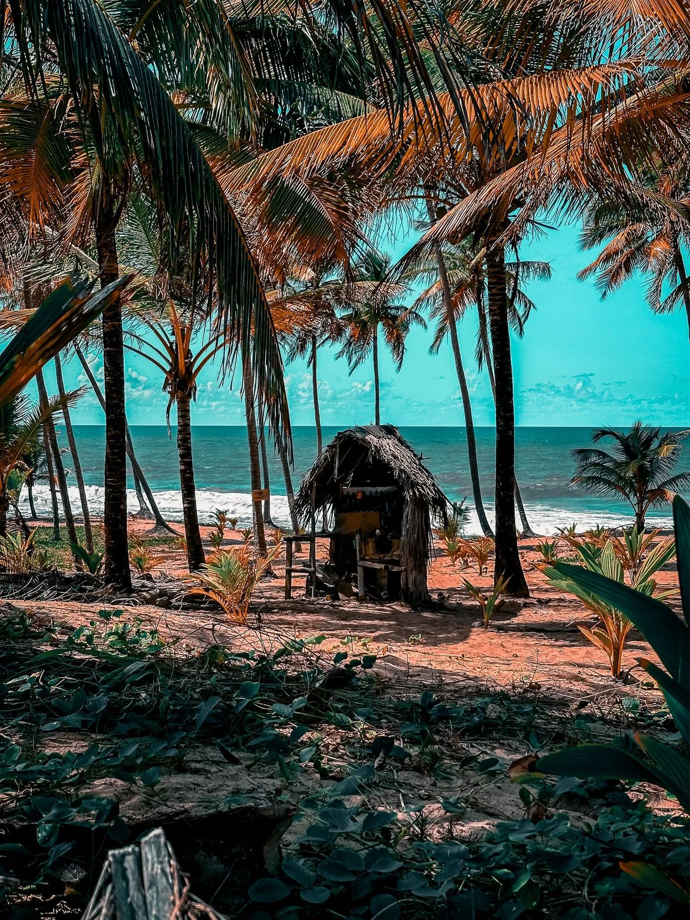 Salvador de Bahia, Bild 11 von 19