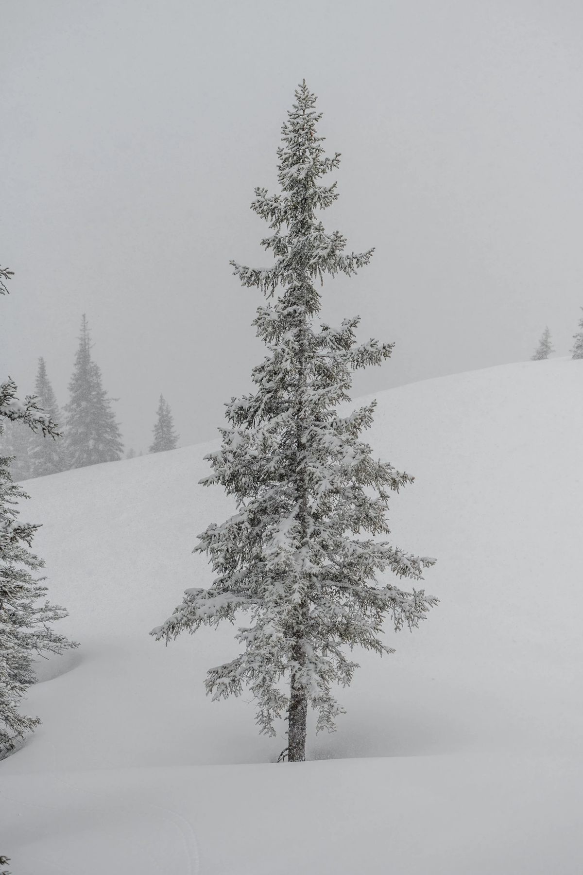 Schöffel - Powder Days, Bild 8 von 9
